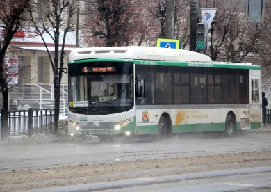 Выяснилось, что будет с хамоватыми водителями воронежских автобусов 