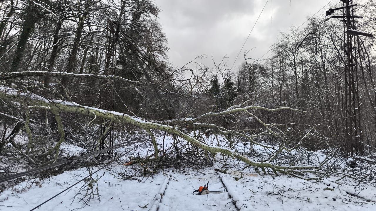Поезд, проходящий через Воронеж, задержался из-за снегопада