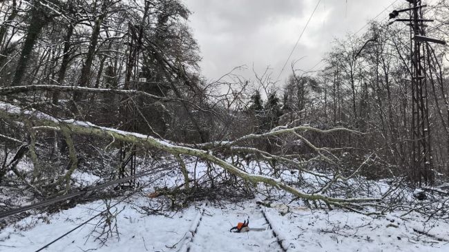 Поезд, проходящий через Воронеж, задержался из-за снегопада