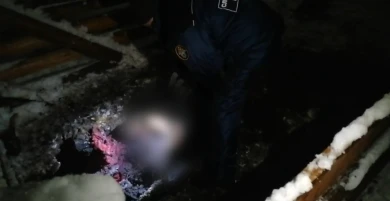 Главное за ночь. Маньяк растерзал двух девушек и спрятал их тела у себя на участке