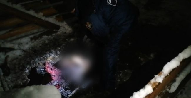 Главное за ночь. Маньяк растерзал двух девушек и спрятал их тела у себя на участке