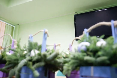 Первой жительницей Липецкой области в 2026 году стала девочка