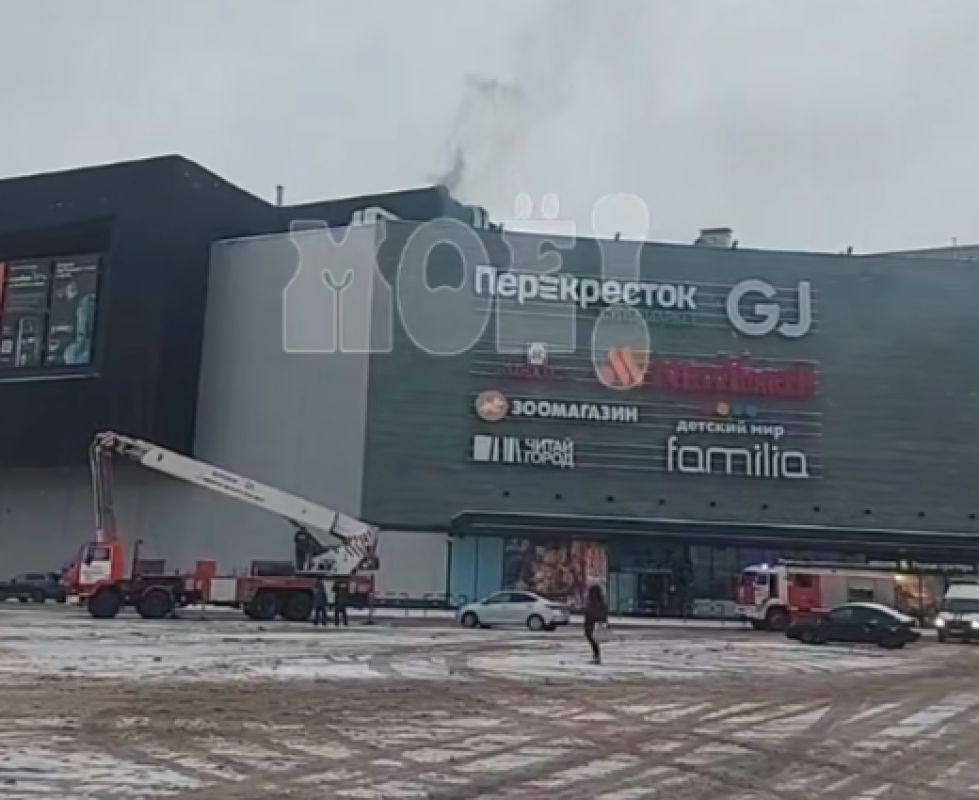 «Приехали машины МЧС и скорые». Выяснилось, что загорелось в популярном воронежском ТЦ