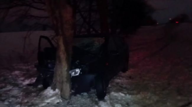 В жесткой аварии при столкновении с деревом под Белгородом пострадали двое детей