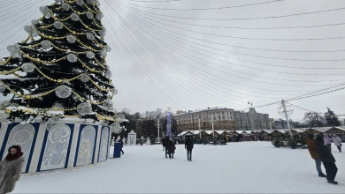 Морозы до -10° ударят в Воронеже после плюсовой температуры 
