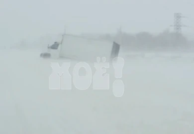 Воронежские водители попали в снежный буран на трассе (ВИДЕО) 