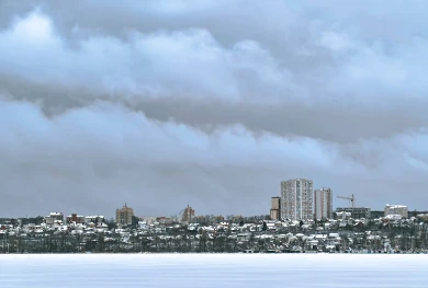 Наказание автохама и хлопки в небе. Главные новости Воронежа и области за 4 января 
