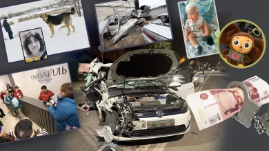 Смертельные аварии и спасение пса ценой жизни. Трагедии года, потрясшие воронежцев, часть II