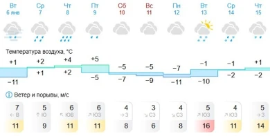 Дожди зальют Белгородскую область на Рождество