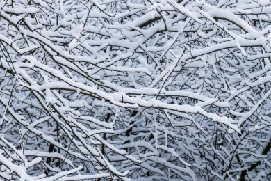 Об опасных погодных явлениях предупредили воронежцев