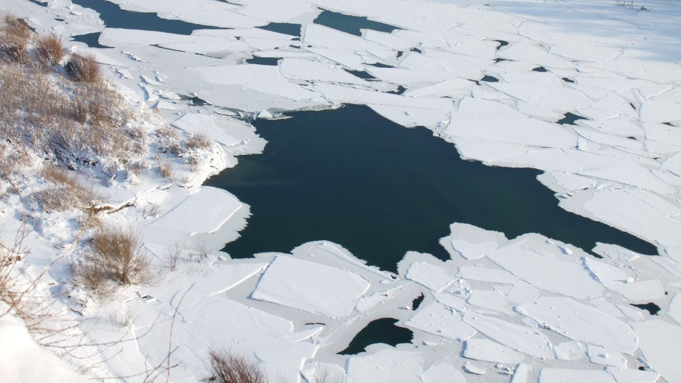 «Реанимировать было уже некого...»