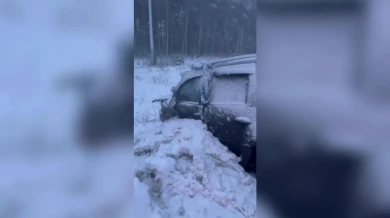 В жестком ДТП под Белгородом две легковушки улетели в лесополосу