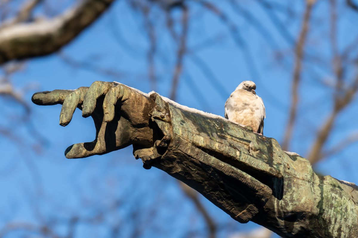 Прогноз погоды в&nbsp;Воронеже на&nbsp;вторник, 13 января