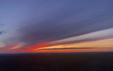 Угроза удара беспилотников ВСУ нависла над Воронежем: взвыли сирены