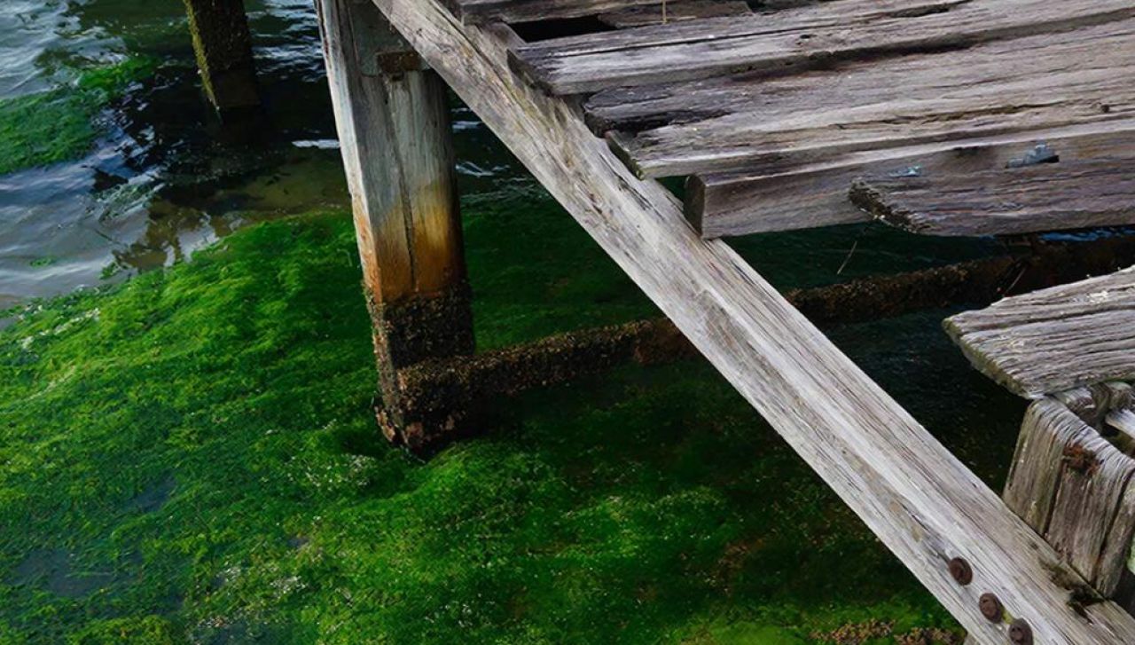 Прокуратура требует снести эллинги и заборы на берегу Старооскольского водохранилища