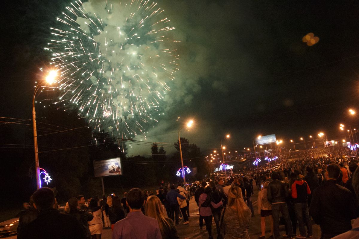 Жителя Воронежской области покарают за салют на Новый год