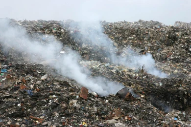 Ущерб почвам от незаконной свалки оценили почти в 16 млн рублей в Воронежской области