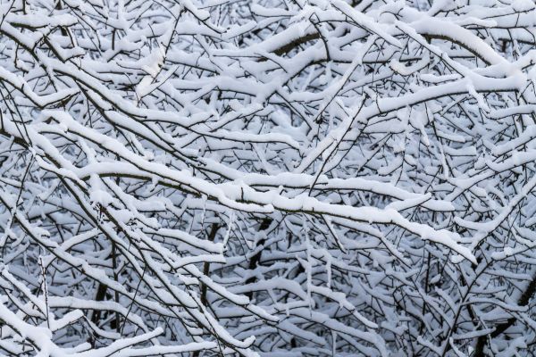 Похолодание до -23° нагрянет в Воронежскую область 