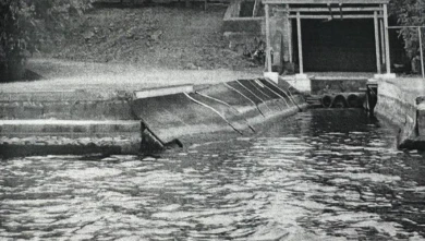 Прокуратура требует снести эллинг, построенный белгородским депутатом в Курске