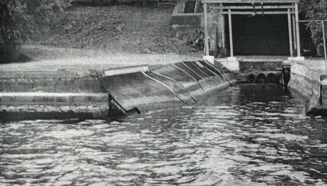 Прокуратура требует снести эллинг, построенный белгородским депутатом в Курске