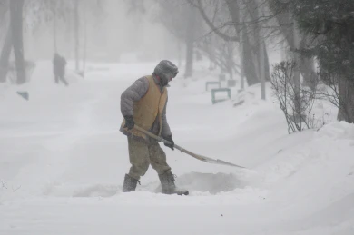 Министр спорта призвал воронежцев взяться за лопату, чтобы поднять настроение