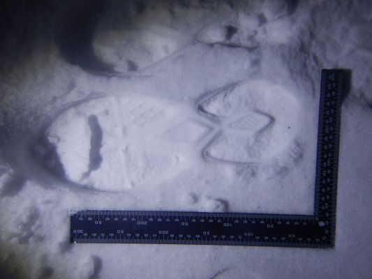 Полицейские нашли изрезавшего лицо белгородцу изувера по следам на снегу