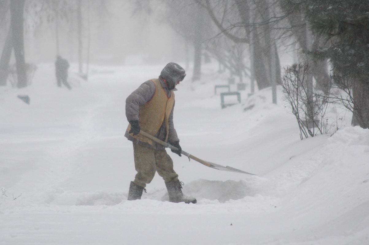 Названы самые дефицитные профессии в Воронежской области&nbsp;