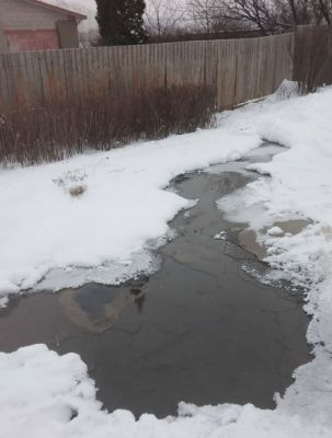 Целый год фонтан из прорванной трубы заливает двор и дорогу в Белгороде