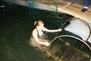 Опасность атаки БПЛА не помешала воронежцам окунуться в проруби на Крещение