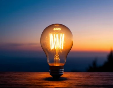 Отключениями света в воронежских СНТ посреди зимы заинтересовались следователи