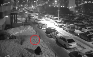 Выяснилось, откуда взялась граната, которую нашли у воронежской многоэтажки 