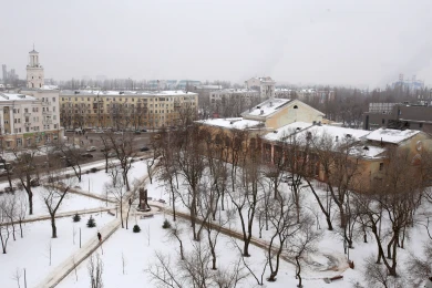 Граната на снегу и надвигающаяся метель. Главные новости Воронежа и области за 19 января