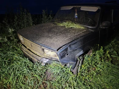 Мать сбитого насмерть ребёнка в Воронежской области умоляет Бастрыкина наказать виновника ДТП