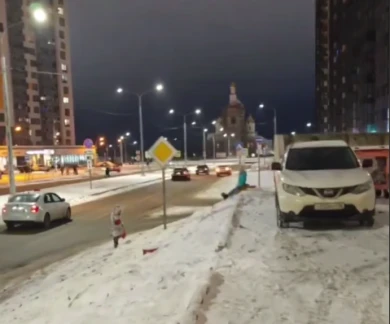 В шаге от трагедии? Тревожные развлечения детей у дороги в Воронеже попали на видео