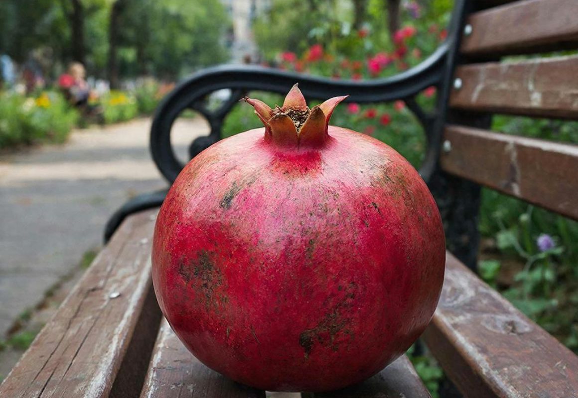 Курянин осуждён на 4 года колонии за найденную и подаренную гранату