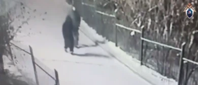 «Папа, я очень хочу домой». Преступник похитил школьника-сына бизнесмена и требует 30 млн