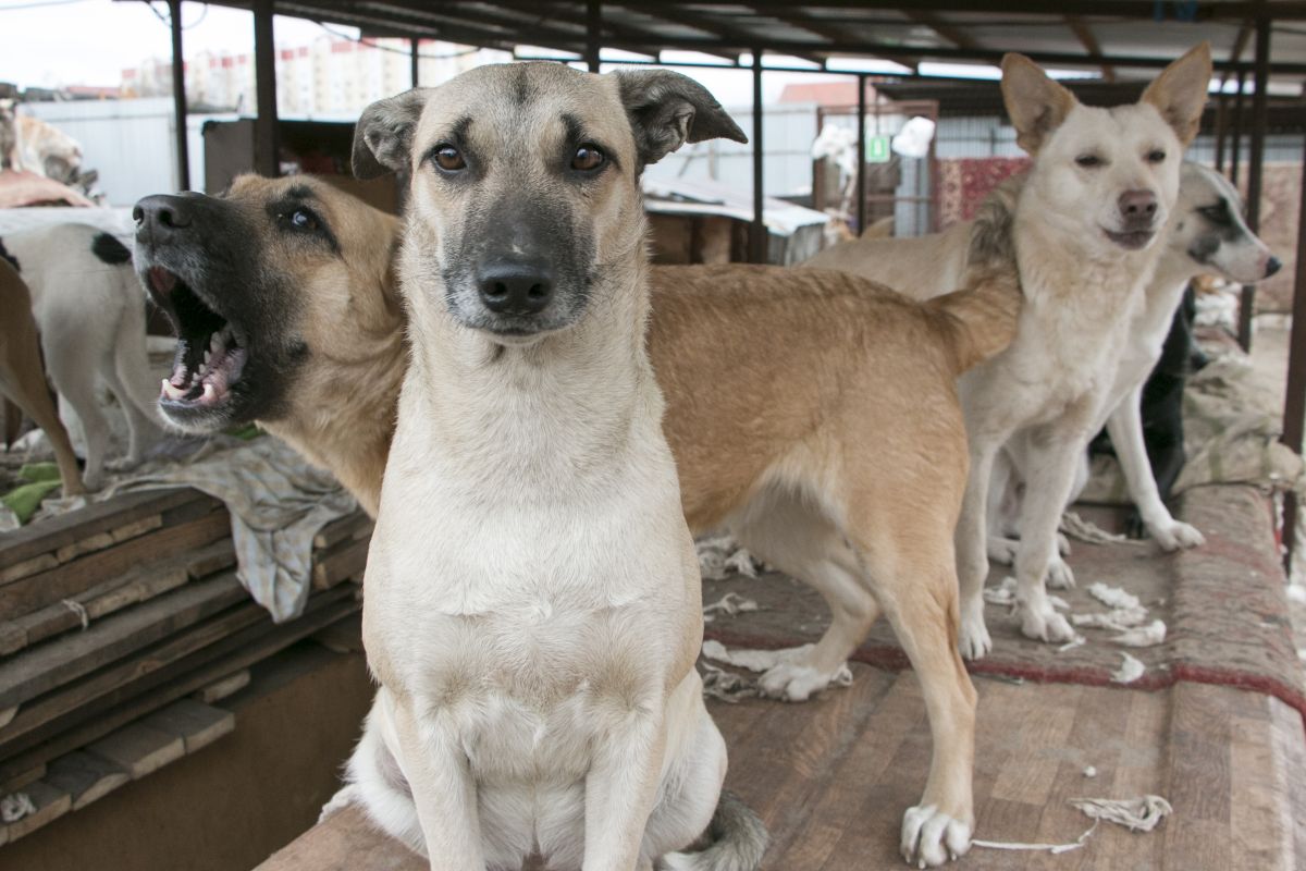 Заставочное фото