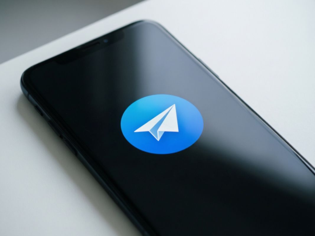 Белгородцы жалуются на работу Telegram: его может постигнуть участь WhatsApp