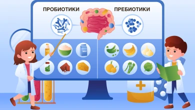 Пробиотики и пребиотики: в чём разница?