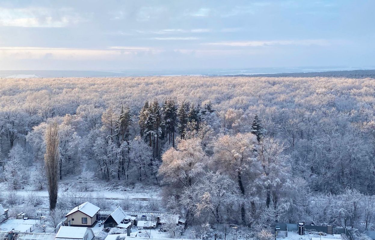 Прогноз погоды в Воронеже на понедельник, 26 января