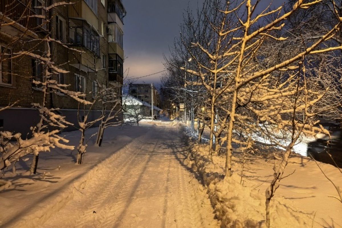 Около 80% тамбовских домов расчистили от снега