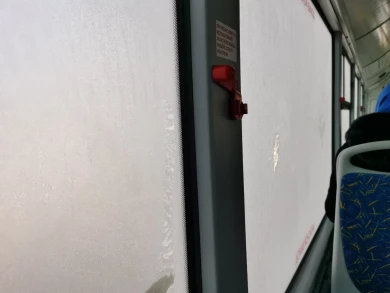 Легальная тонировка. На обледеневшие автобусы пожаловались воронежцы