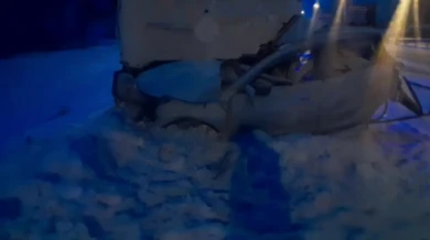 Из покореженной легковушки на белгородской трассе вытащили труп