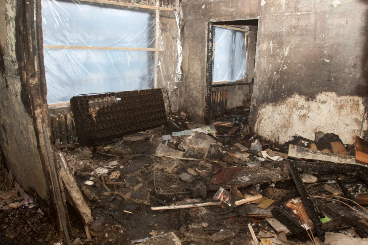 Заставочное фото