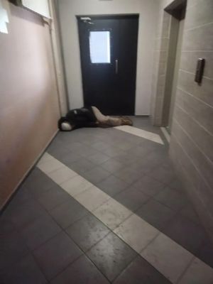 «Бросил вонючие штаны на этаже и угрожал воронежцу». Беспардонный бомж «атаковал» ЖК