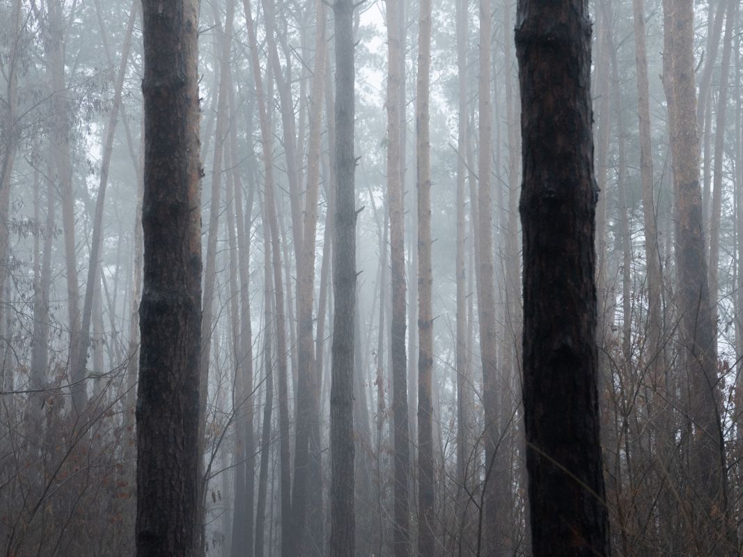Пятеро детей пропали в Воронежской области&nbsp;