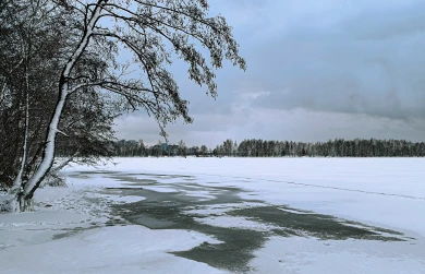Предпринимателя оштрафовали за мусор у Воронежского водохранилища