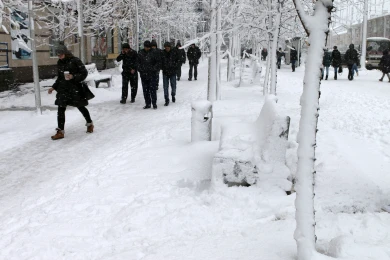 -30°. Аномальное похолодание ожидается в Воронеже