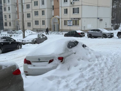 Сугробы почти два метра. Воронежцы показали снежные горы после метели