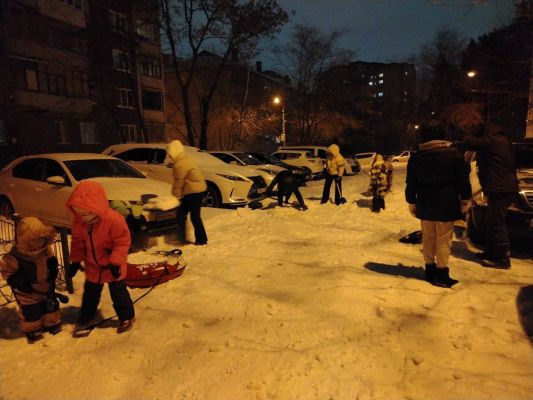 Воронежцы пошли на крайние меры, чтобы спастись от снежного апокалипсиса (ВИДЕО)